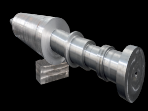 Backup Roll