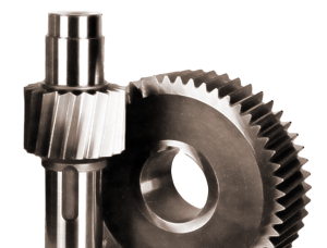 Gear & Worm